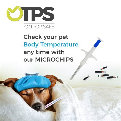 rfid tracking chip in dog|what is a pet microchip.